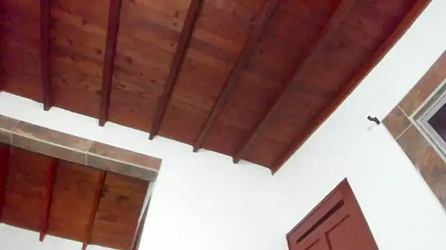 Jave rave online show from March 31, 3:41 am