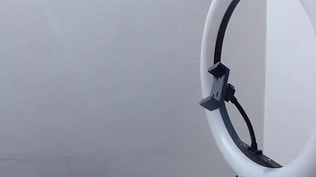 Jave rave online show from March 20, 3:29 am