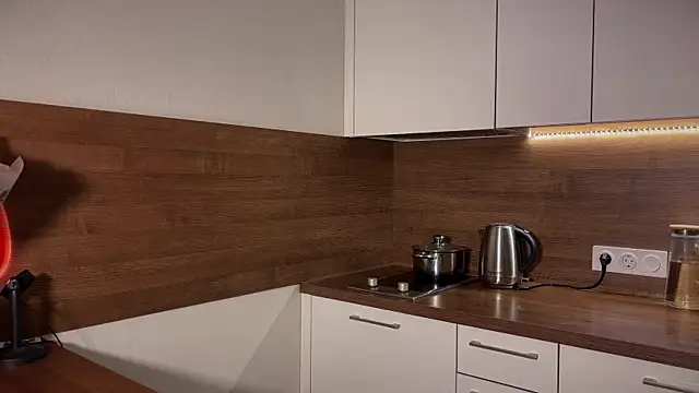 Even Vrot online show from March 17, 3:04 pm