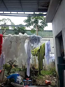 alibaba3x online show from February 10, 4:55 am