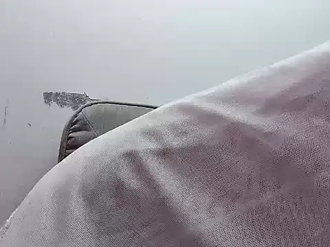 Binnky online show from April 4, 2:29 am