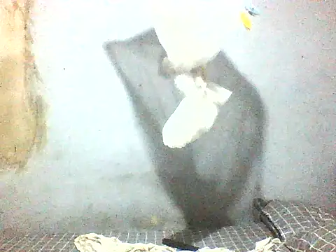 fuckdigg online show from January 11, 1:45 am