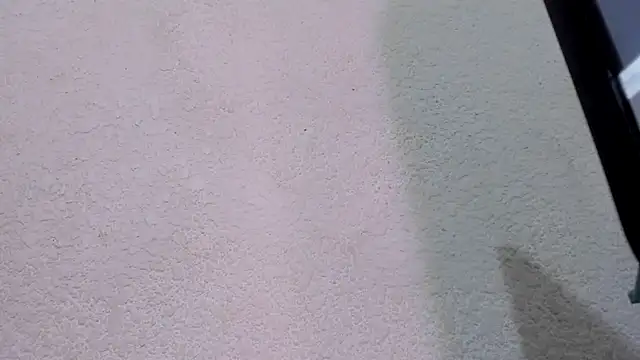 ebonycamelia online show from November 22, 11:47 pm