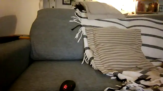 xxxluana online show from December 3, 4:02 am