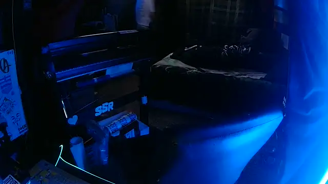 Bowerboi online show from November 30, 10:32 pm