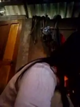 bela-hayes online show from January 8, 2:50 am