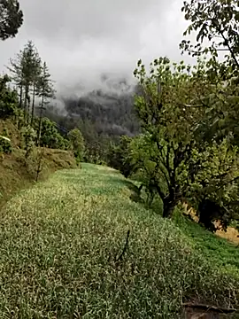 Cute Lucky online show from April 8, 6:15 am