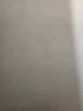 Reema 143 online show from December 16, 2:21 pm