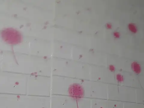 Kim mon online show from November 29, 2:17 pm