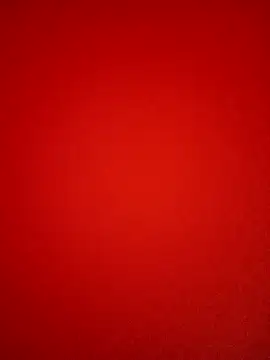 Bold Quinn online show from March 22, 5:25 pm