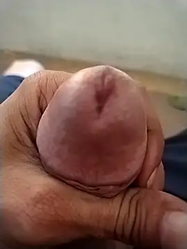 GDwrzsc2bfc online show from December 4, 9:41 am