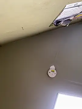 24denio online show from March 7, 1:49 pm