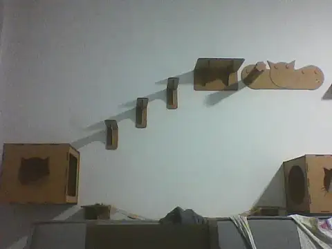 Temp7 online show from February 25, 11:48 pm