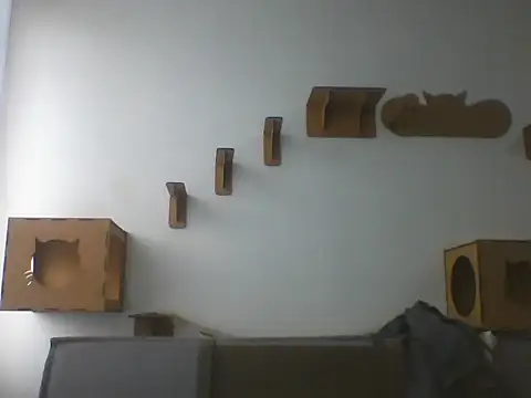 Temp7 online show from February 22, 1:24 pm