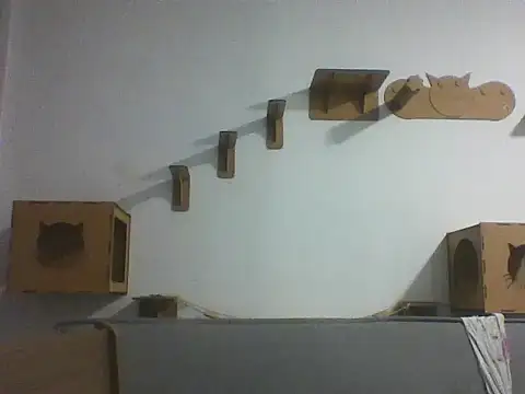 Temp7 online show from February 23, 1:29 am