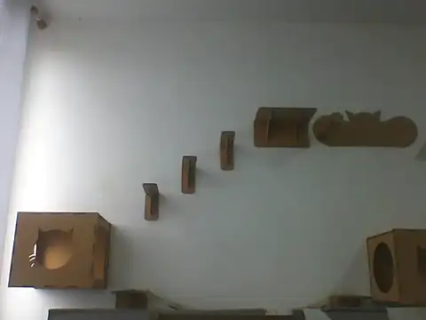 Temp7 online show from February 23, 6:08 pm