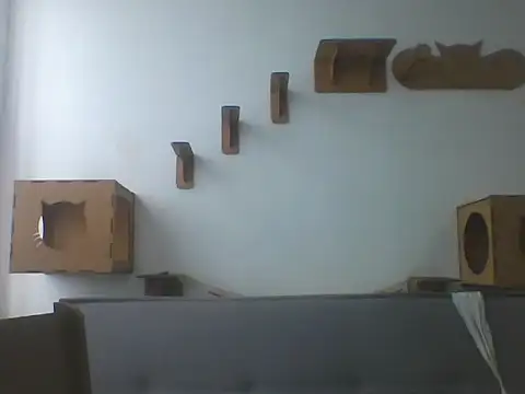 Temp7 online show from February 21, 1:13 pm