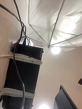 Aria Kitty online show from November 30, 11:44 am