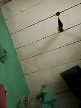 Xxx suhana online show from February 7, 11:07 am