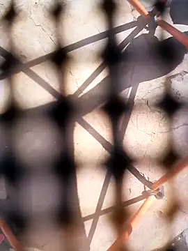 Eezxxx online show from December 3, 7:30 am