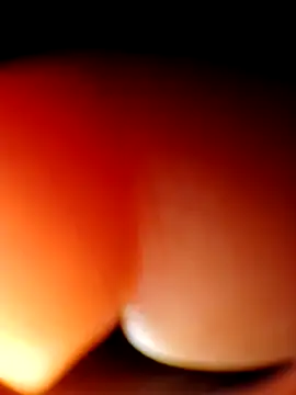 Eezxxx online show from March 23, 4:01 am