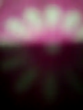 Nandani-758 online show from December 19, 12:14 am