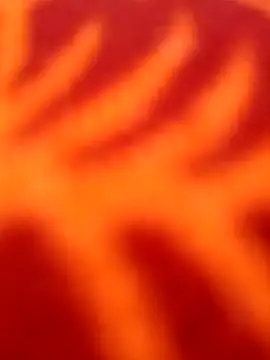 Nandani-758 online show from April 8, 11:22 am