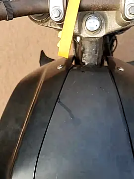 Meow buggie online show from December 23, 2:55 am