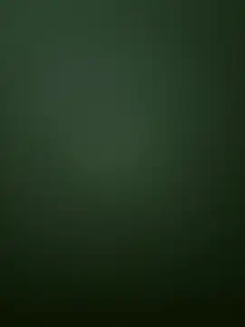 Spring-spring online show from December 1, 12:50 pm