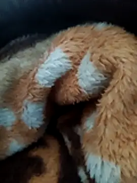 Hotboylumia 825321 online show from December 20, 1:14 pm