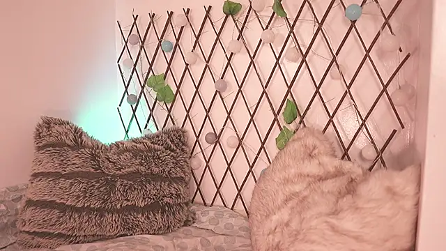 Snapshot of Mackenzie_Lia chatting on November 28, 7:25 pm Mackenzie Lia online show from November 28, 7:25 pm