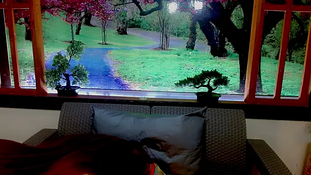 britanny noroeste online show from January 11, 3:24 am