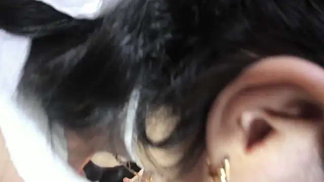 Haylenpark online show from February 22, 11:56 am