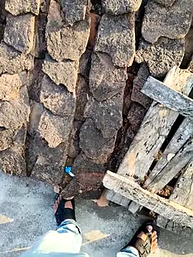 apka rockstarr online show from December 17, 2:49 am