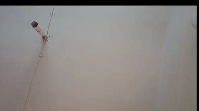 Snapshot of ShyColette chatting on November 22, 3:27 am ShyColette online show from November 22, 3:27 am