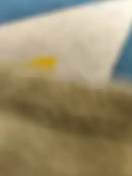 paro22 sex online show from February 14, 5:13 pm