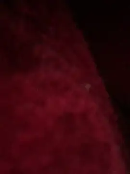 Snapshot of hotel222 chatting on November 27, 1:06 am hotel222 online show from November 27, 1:06 am