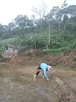 nangmo online show from March 20, 11:50 pm