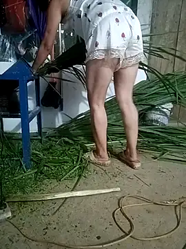 nangmo online show from July 4, 11:27 am