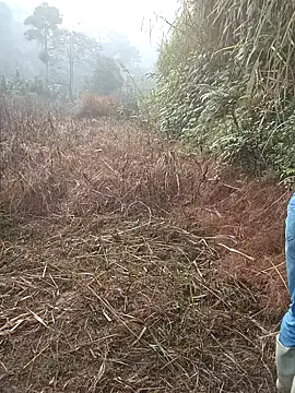 nangmo online show from March 1, 1:16 am