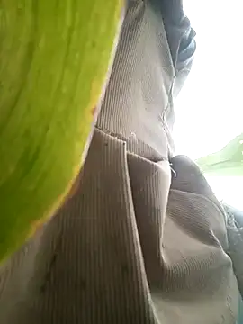 nangmo online show from July 17, 11:46 pm