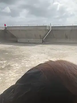 Xiaomili8 online show from December 20, 4:15 am