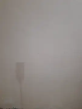 Alli8900 online show from December 20, 9:45 am