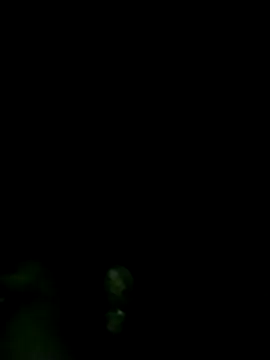 Pooja hote online show from December 2, 12:11 am