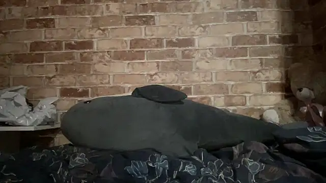 Blair Reid online show from November 29, 4:40 pm