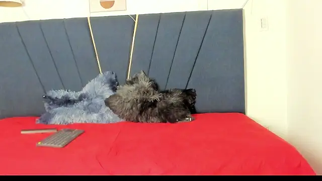 Snapshot of naomi_x0 chatting on January 18, 1:14 pm naomi x0 online show from January 18, 1:14 pm