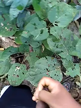 desi alpha boy online show from January 17, 2:04 am