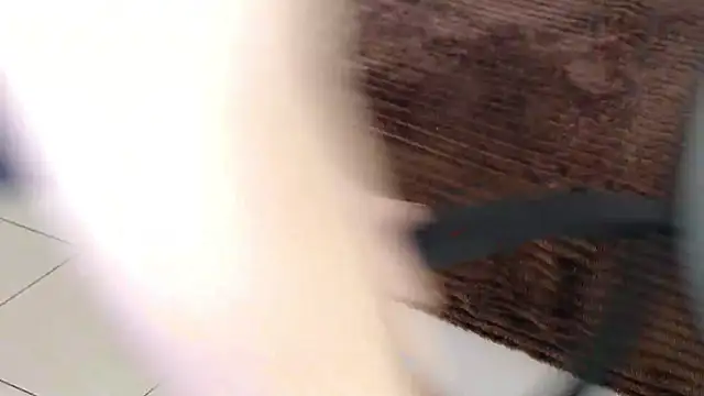 Brandy Gem online show from February 19, 7:49 am