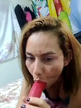 Snapshot of Alice-pink chatting on November 26, 2:11 am Alice-pink online show from November 26, 2:11 am