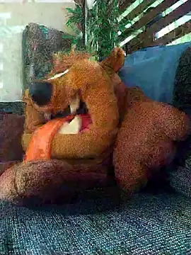 Pirulaibe23 online show from December 18, 7:18 pm